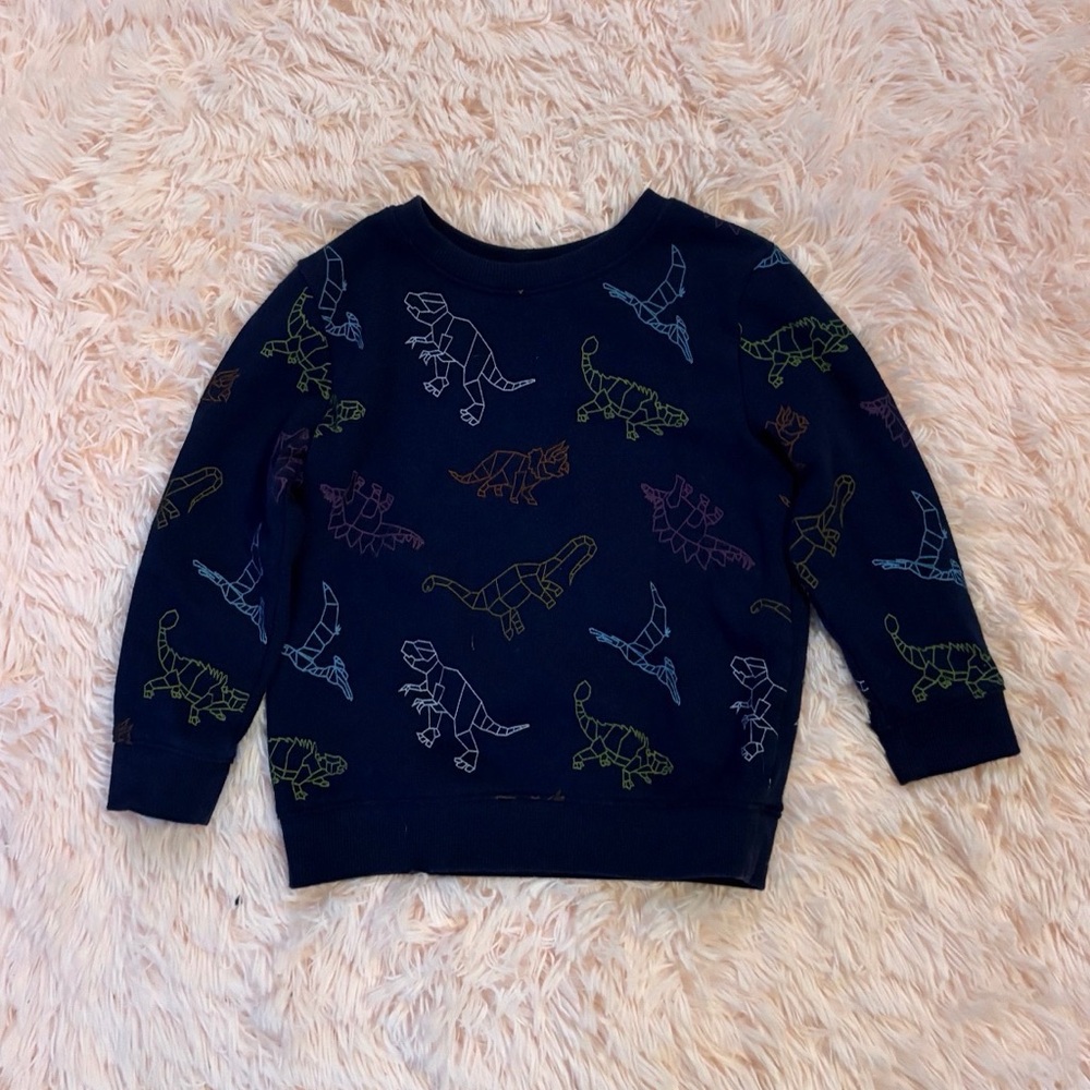 Cat & Jack Navy Dinosaur Sweatshirt